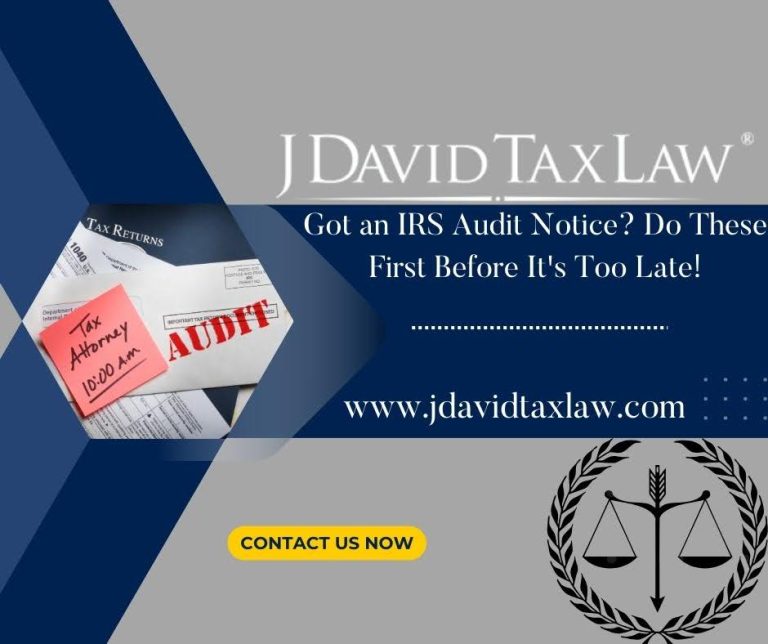 tax audits