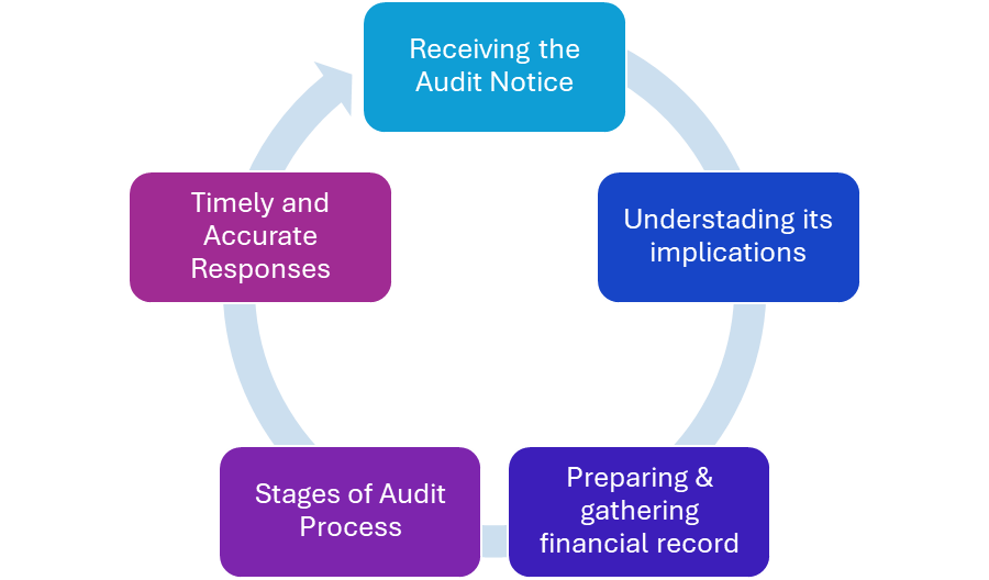 Tax Audit